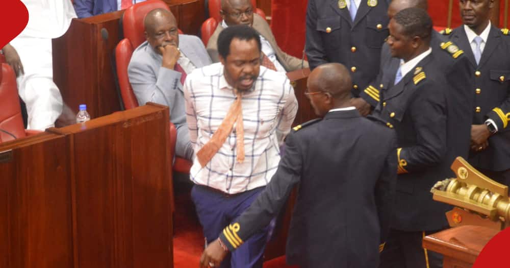 MCAs during a scuffle in the Nairobi County Assembly.