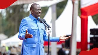William Ruto Dismisses Notion that He Lies All the Time: "Facts Will Not Change"