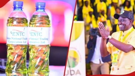 William Ruto Promises to Increase Kenya's Edible Oil Production to 240,000 MT, Save KSh 100b