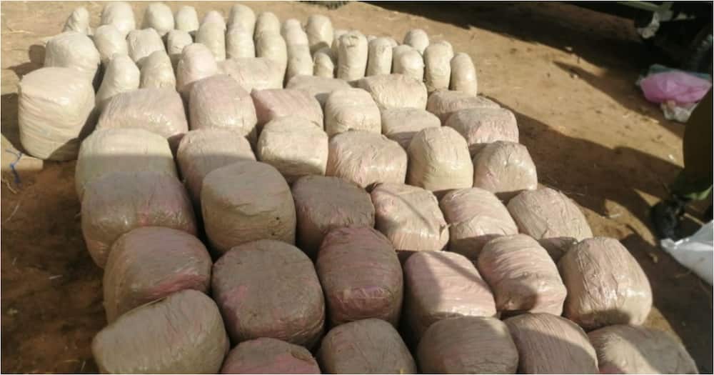 Mandera: Police arrest 2 suspects ferrying bhang worth KSh 800K