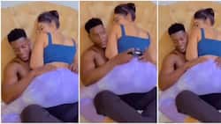 Video of Zari Getting Cosy in Bed with New Lover after Diamond's Visit Emerges