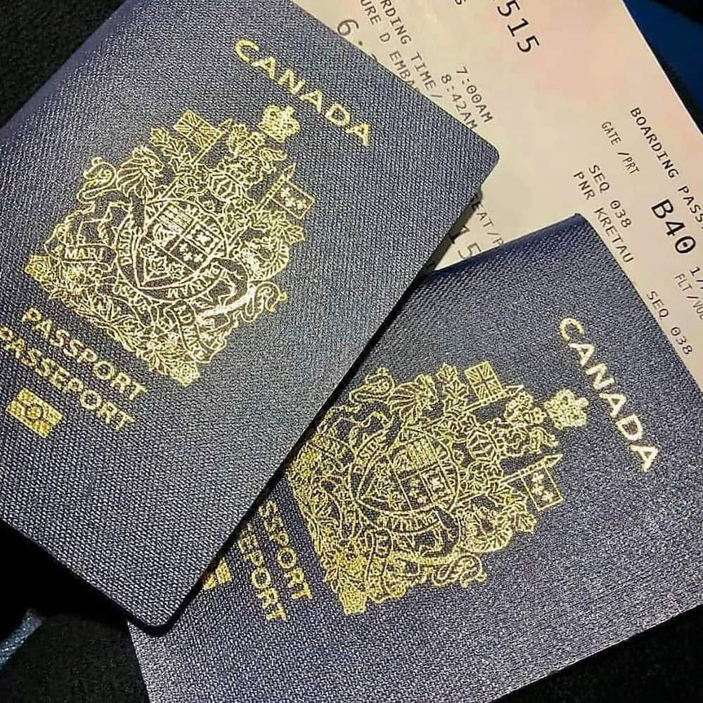Canada visa lottery: scam or legit?