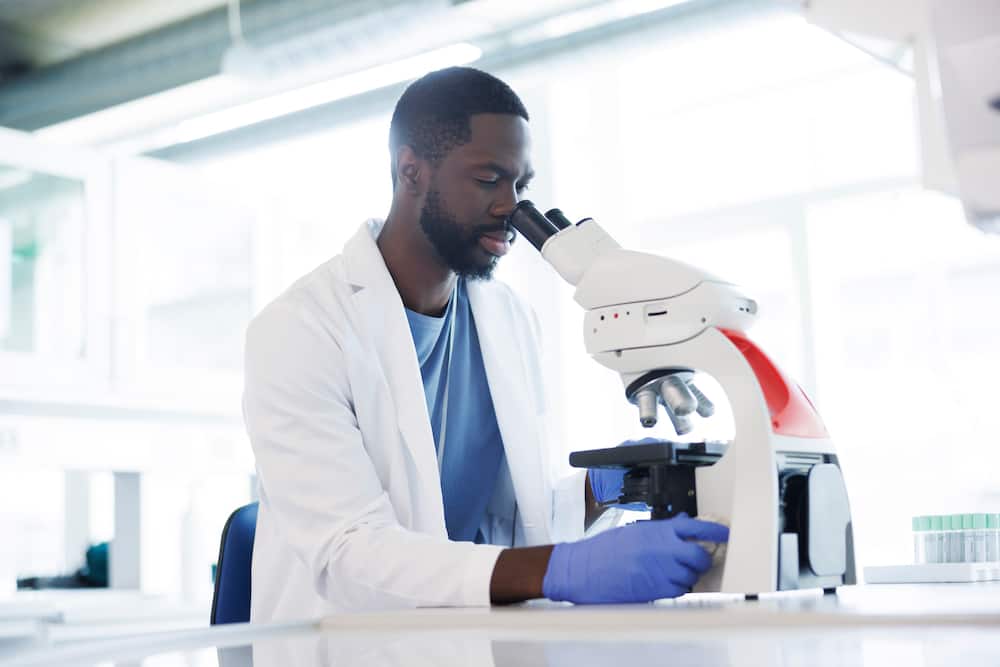A male scientist in the laboratory is looking into a microscope