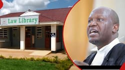 Piki Piki Ponki Lawyer Recalls Being Suspended from Moi University Over His Activism Passion