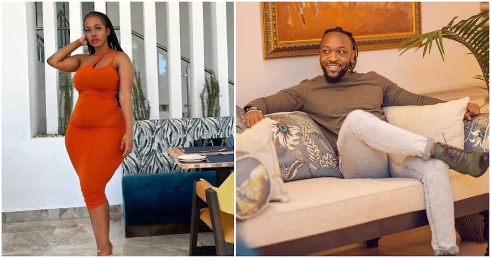 Corazon Kwamboka Subtly Berates Frankie for Airing Her Dirty Linen, Accuses Him of Chasing Clout.