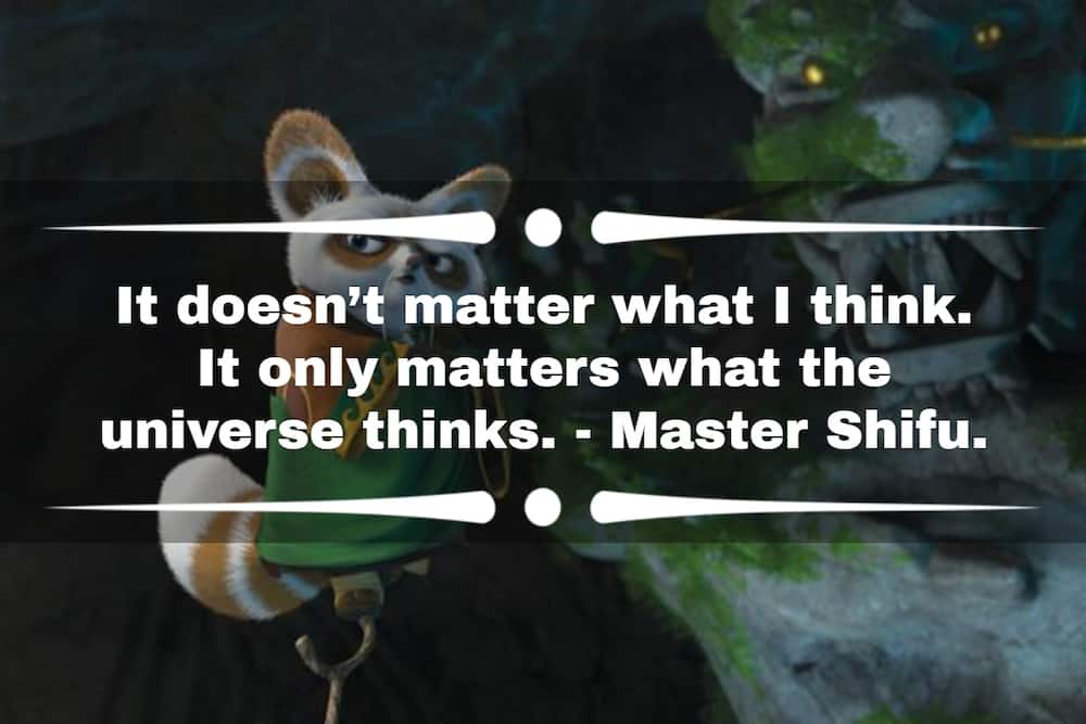 Kung Fu Panda quotes