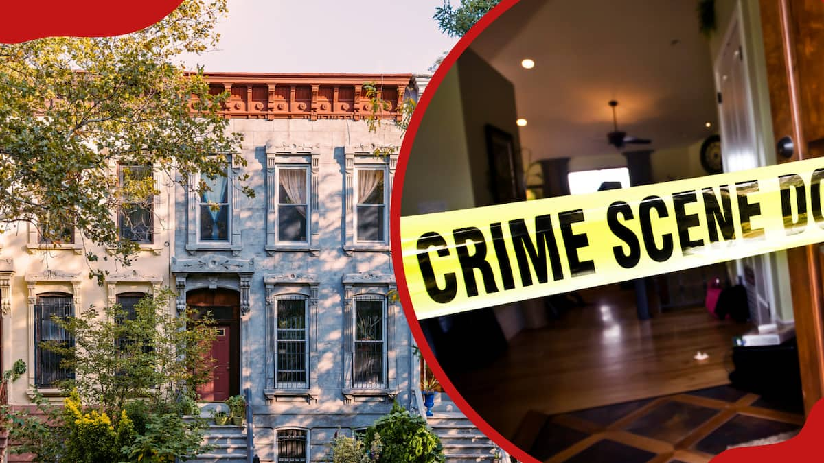 10 safest neighborhoods in Brooklyn for you to live in 2024 - Tuko.co.ke