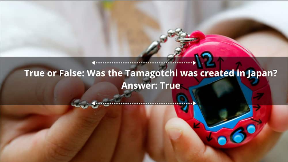Launch of 2017 edition of Tamagotchi toy