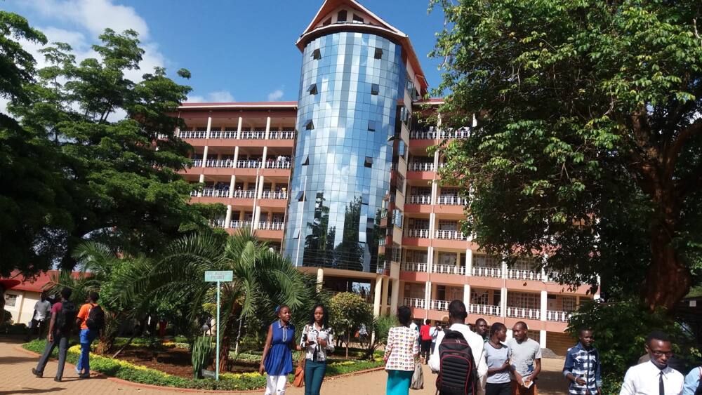 University ranking in Kenya