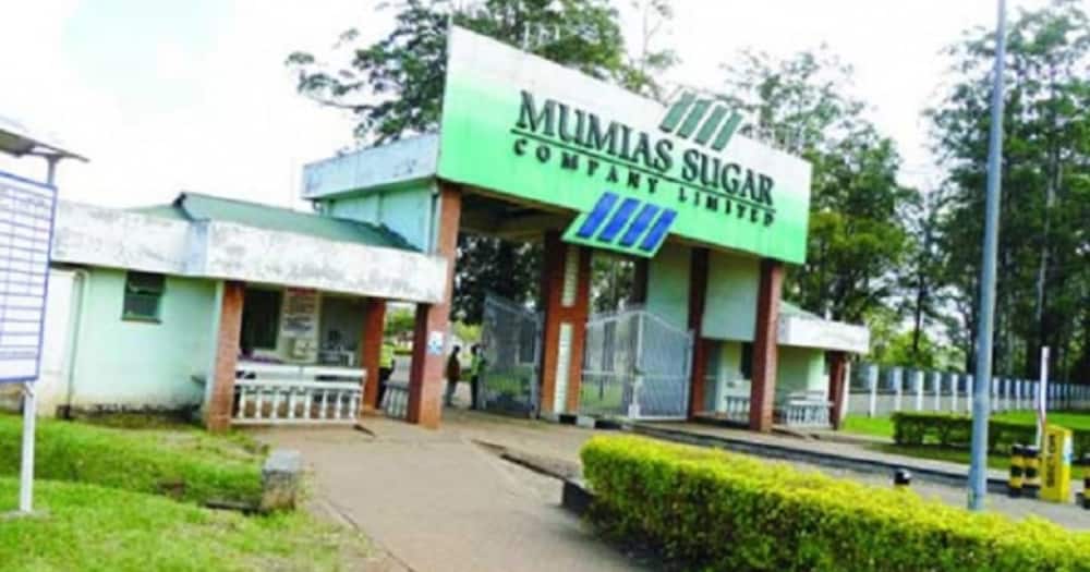 Mumias Sugar Ltd ceased operations.