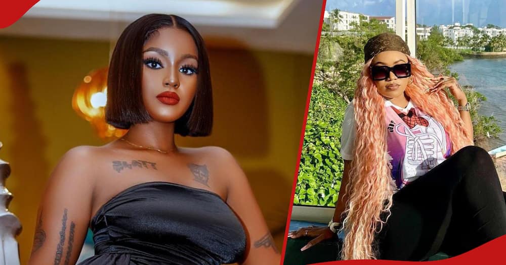 Shakilla Asema Vera Sidika Ana Kasoro Ndiposa Brown Mauzo Kamtoka: "Wa Kulaumiwa ni Wewe"