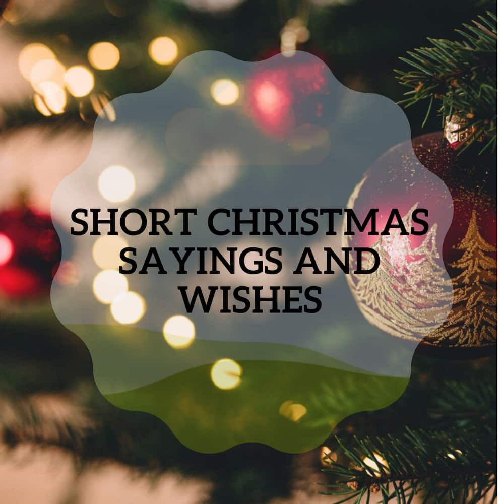 Short Christmas Sayings