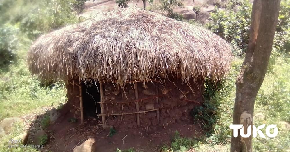 A 26-year-old man in Hamisi constituency has been forced to live in a makeshift hut.