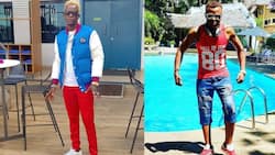 Gloves off! Willy Paul, Ringtone exchange unprintable insults online
