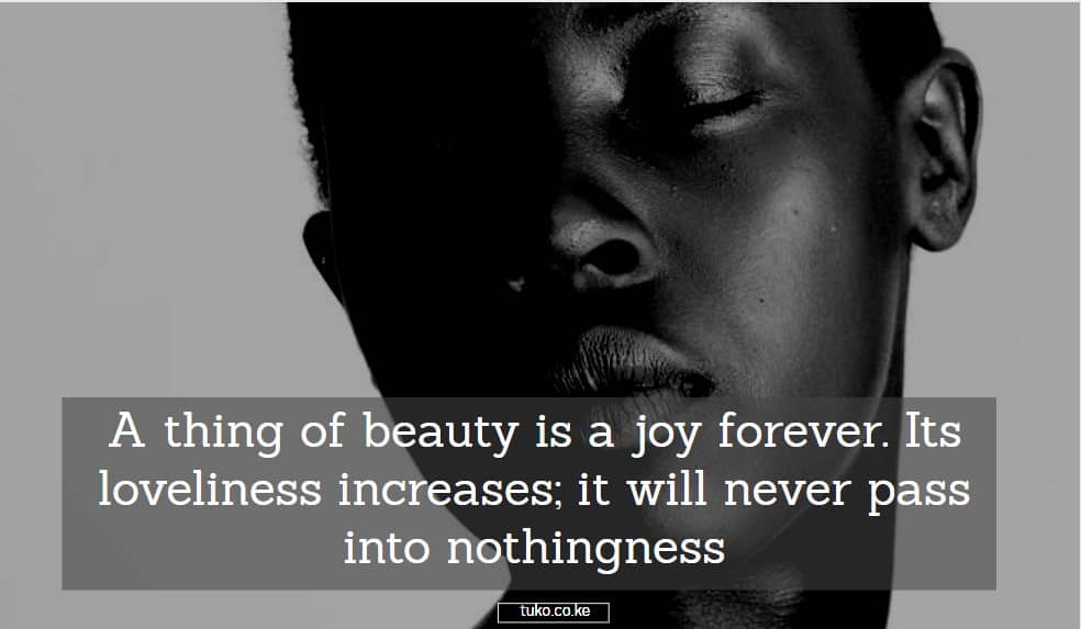 beauty quotes
quotes on natural beauty
quotes on african beauty
collateral beauty quotes