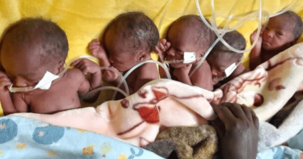 Kisii Couple Who Gave Birth to Quintuplets Loses One Child, Appeals for Help