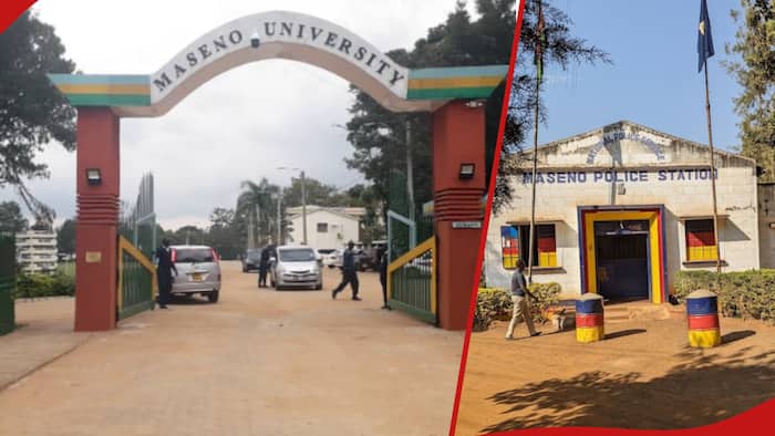 Maseno University Student Arrested over Violent Robbery of Valuables from Female Students