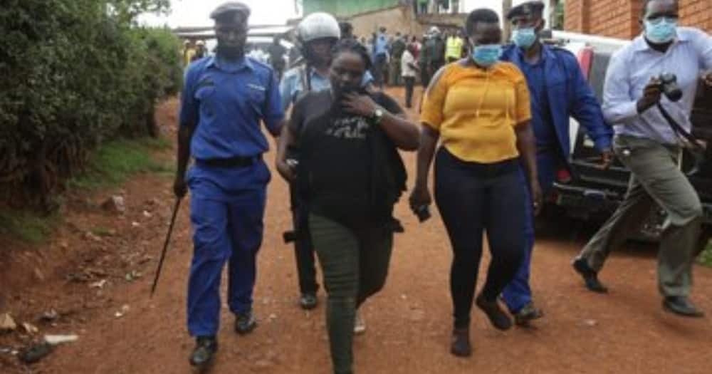 Youths arrested by police. Photo: Kenya Police Service.