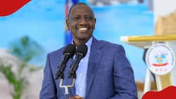 William Ruto Welcomes Bipartisan Talks on Reducing Foreign Trips by Govt Officials: "Tupunguze Zaidi"