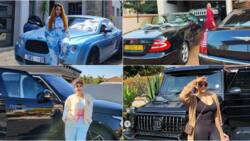 Zari Hassan's Car Collection: Value of Socialite’s Luxury Vehicles Hits KSh 60m