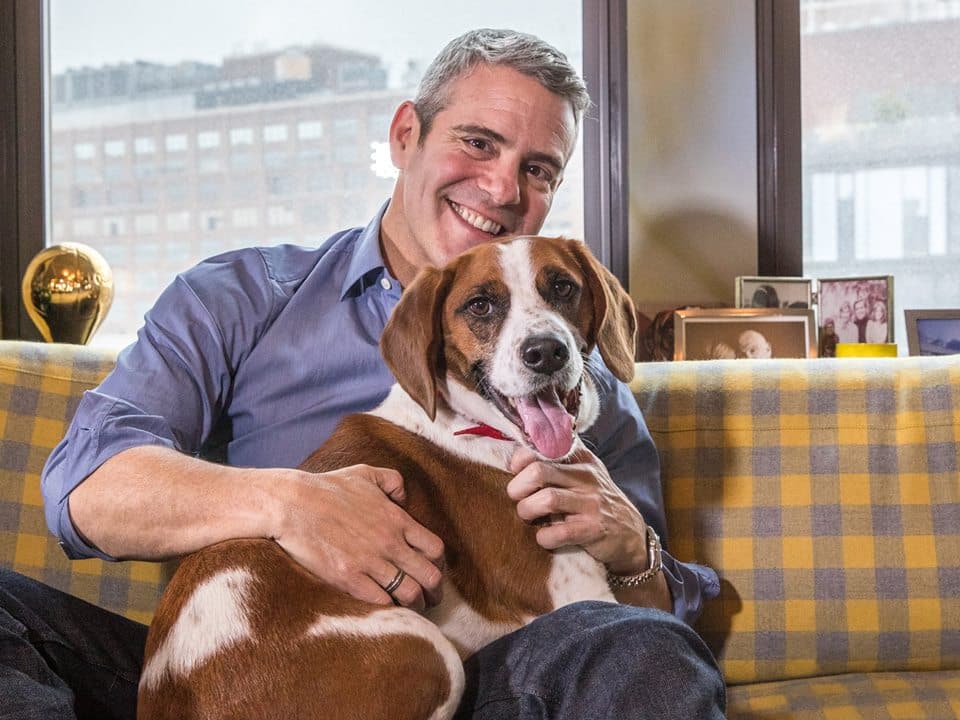 Is Andy Cohen married?