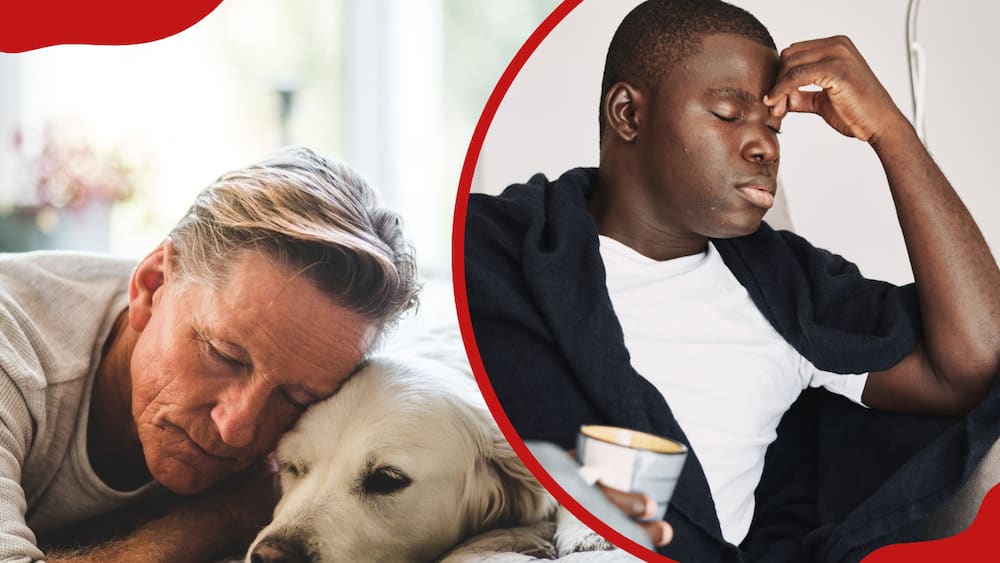 A collage of a man lying in bed with his dog and a man with a headache is sitting on the couch