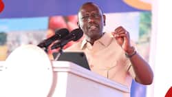 William Ruto Accuses UDA Leaders of Incitement after Governor Barchok Is Heckled in His Presence