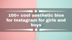 100+ cool aesthetic bios for Instagram for girls and boys