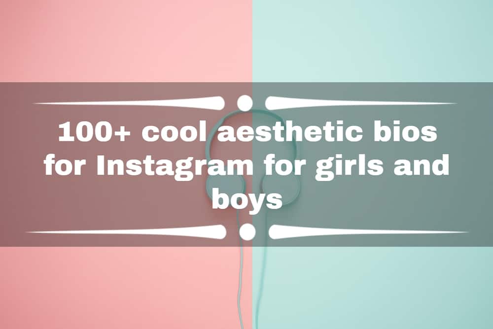 aesthetic bios for Instagram