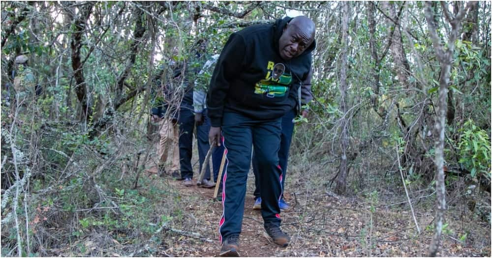 "Nimepeleka Shukrani": Gachagua Akimbia Hadi Mlima Kenya Baada ya Maombi ya Mvua Kujibiwa