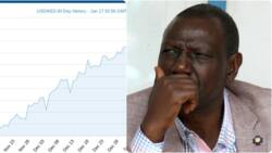 Kenya Shilling Continues to Weaken against US Dollar, Hits Historic Low of KSh 124