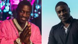 Akon's Call for African-Americans to Move to Africa Draws Mixed Reactions