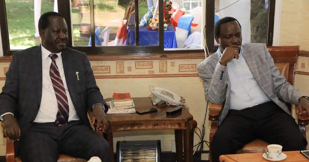 Kalonzo Musyoka and Raila Odinga. Photo: Raila Odinga.