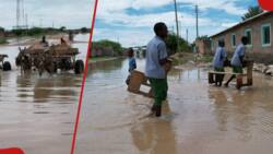 Mandera: 3 Dead, Dozens of Houses and Schools Submerged as Floods Wreak Havoc in Elwak Town