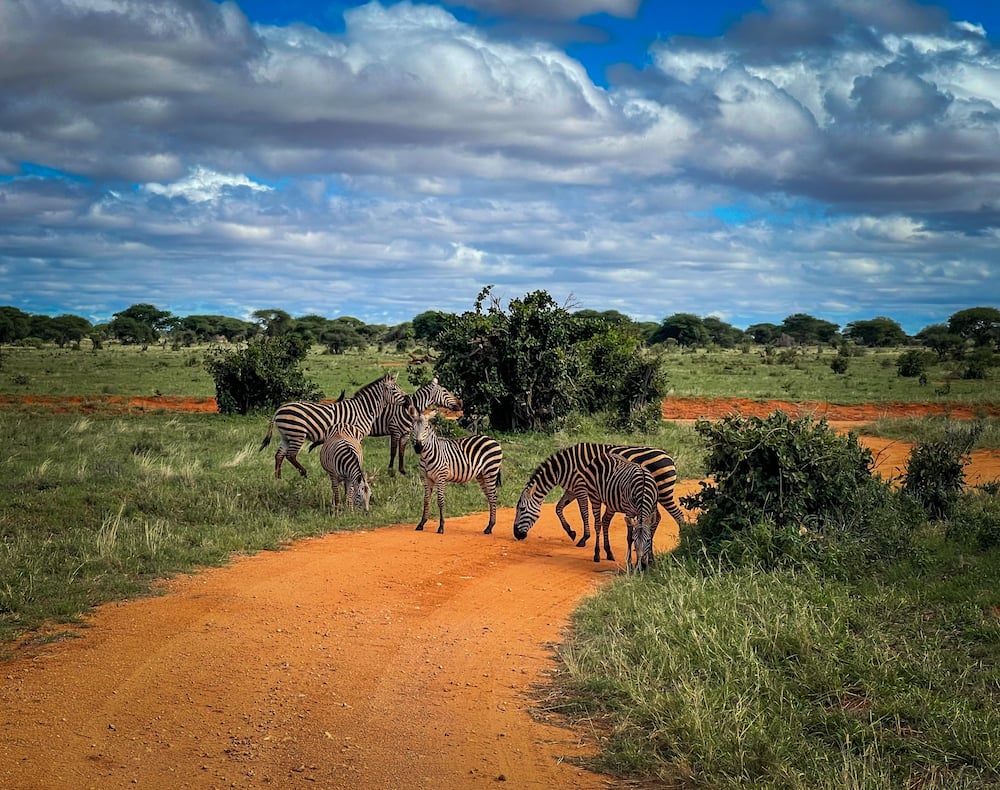 Kenya Wildlife Service park fees