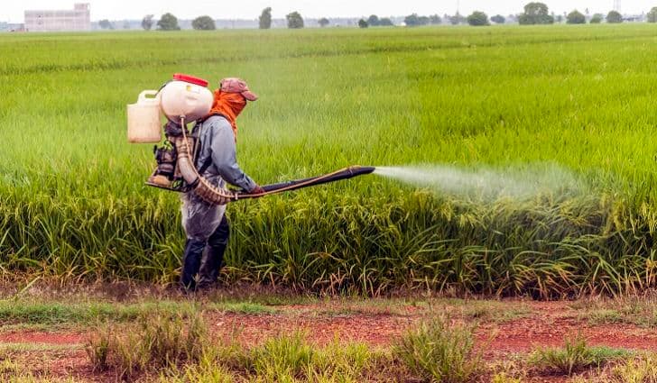 MP Gladys Shollei tables petition for removal of harmful pesticides from Kenyan market