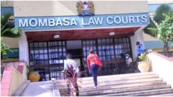 Mombasa: Persons with Disability Attacked by Bees while Filing Petition against MCA