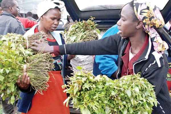 Garissa: Wauza miraa watekwa nyara na al-shabaab