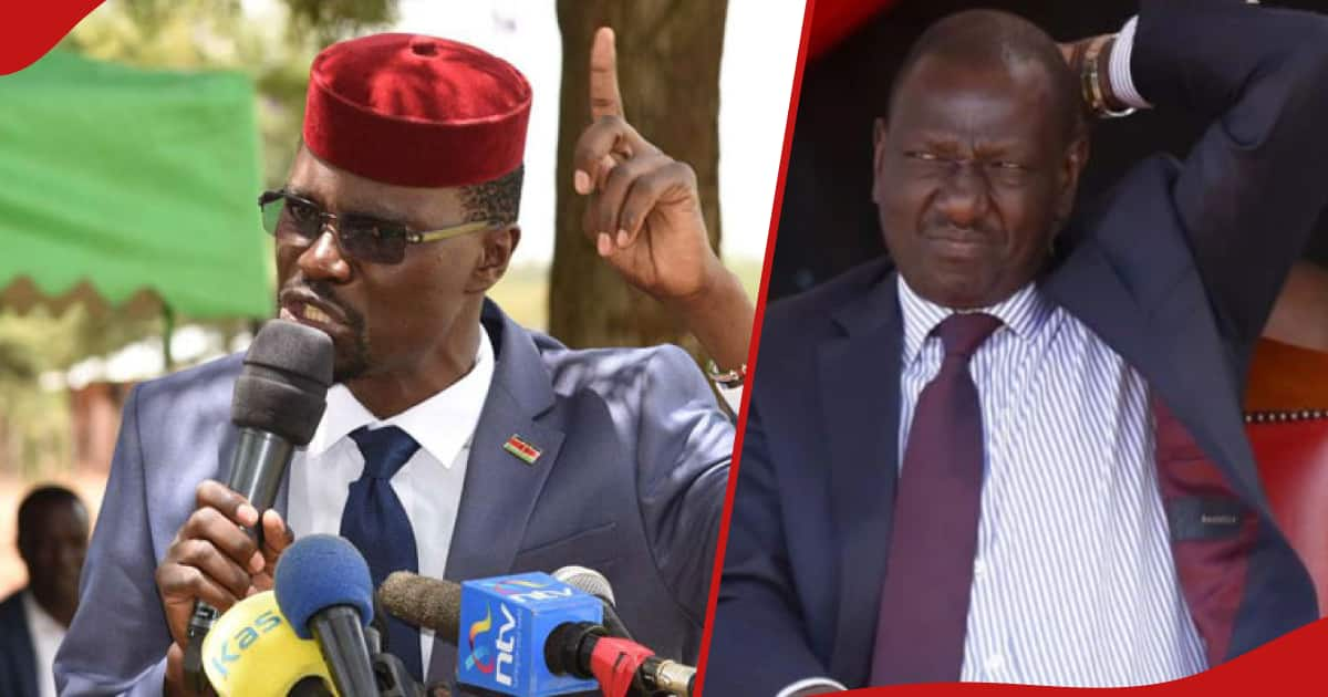 Didmus Barasa Asks William Ruto To Reduce Taxes: "Aangalie Nini ...