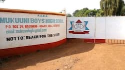 Cholera in Schools: Over 100 Students at Kaaga Boys Hospitalised, Mukuuni Boys Closed Down