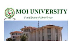 Moi University online application, requirements, dates, and courses