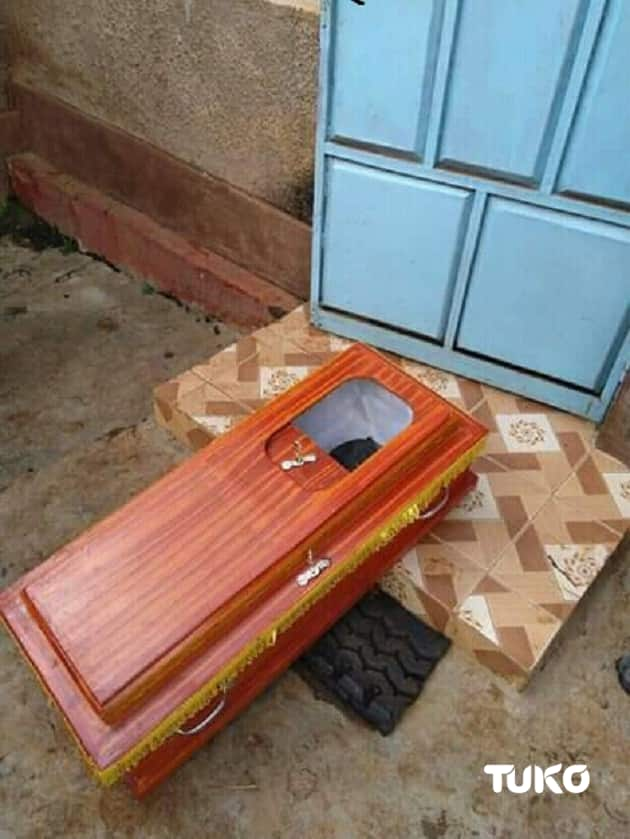 Uasin Gishu man wakes up to coffin with snake, squirrel carcasses at doorstep