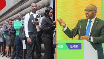 Kenya Commercial Bank Announces Managerial Vacancies, Lists Qualifications for Candidates