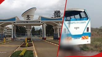 Kenyatta University: Kenyans Share Touching Condolences After 11 Students Perish in Road Accident
