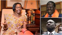 Huenda William Ruto ndiye anachangia katika masaibu yangu ya kisiasa- Martha Karua