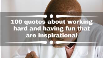 100 quotes about working hard and having fun that are inspirational