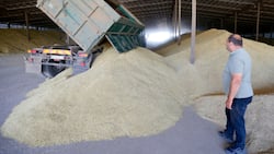 Africa Food Crisis: Ukraine to Ship Free Grain to Ethiopia, Somalia