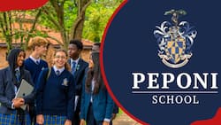 Peponi School fee structure, scholarships, contacts