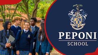 Peponi School fee structure, scholarships, contacts