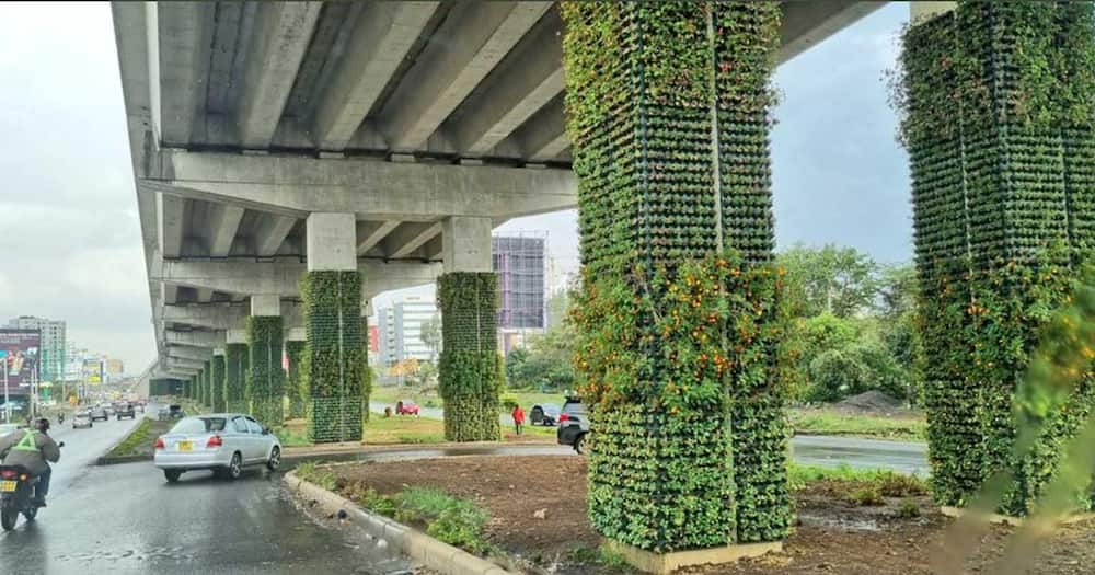 Nairobi Expressway beautification.